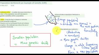 BOTTLENECK EFFECT SECOND EXAMPLE OF GENETIC DRIFT [upl. by Acined565]