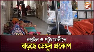 নড়াইল ও পটুয়াখালীতে বাড়ছে ডেঙ্গুর প্রকোপ  Dengue  Channel 24 [upl. by Moitoso]