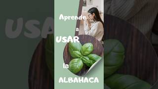 Usos de la Albahaca plantas plantasmedicinales hierbasmedicinales albahaca manzanilla usos [upl. by Lednahs]