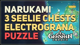 Narukami Island 3 Seelie Chests Electrograna Puzzle Genshin Impact [upl. by Scotney]