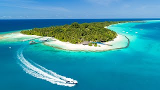 Kuramathi Maldives 2019 Updated [upl. by Dietsche]