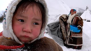 Life in URAL Mountains Russia Survival in Far North Nomads Nenets [upl. by Monson31]