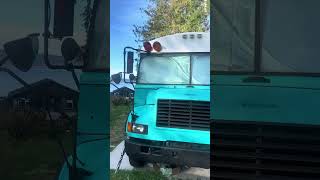 3 month Skoolie Build Update busbuild skoolieconversion schoolbus schoolbusconversion buslife [upl. by Arbmat218]