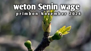 Senin Wage ramalan primbon dibulan November 2024 [upl. by Eatnuahs363]