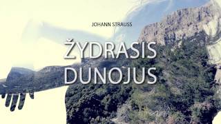 Zydrasis Dunojus The Blue Danube [upl. by Bayly277]