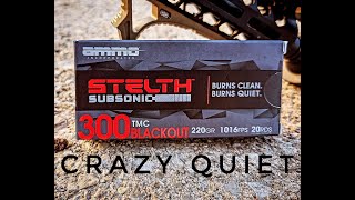 The Ammo Inc Stelth Subsonic Line Is Crazy Quiet [upl. by Anayk]