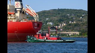 Listen to this TugShip Chat The Federal Yukon arrives Duluth get the Industry Info on the Chat [upl. by Scrogan]