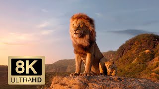 THE LION KING 8K Trailer 8K ULTRA HD 4320p [upl. by Ahsikrats]