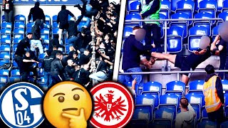 Alle Hintergründe zur TribünenSchlägerei zwischen Schalke und Frankfurt S04  SGE 22 [upl. by Beltran]