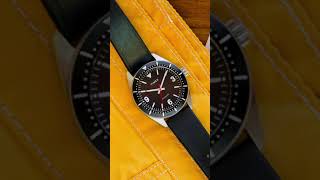 Timex Waterbury HODINKEE Limited Edition [upl. by Renraw]