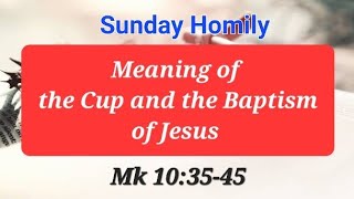 Sunday Homily  29th Sunday Year B  Meaning of the Cup and Baptism of the Lord [upl. by Llegna]