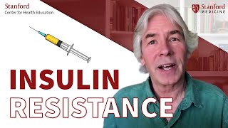 What is insulin resistance Why does it happen Dr Christopher Gardner [upl. by Sukramaj]