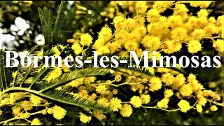 BORMES LES MIMOSAS💐 Village du var  french riviera  Côte dazur [upl. by Imogene]