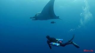 Hollis Isla Socorro Scuba Diving Expedition [upl. by Ayotaj]