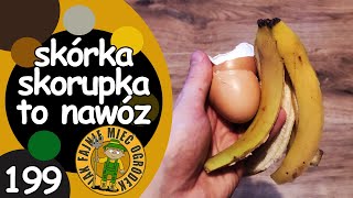 199 Jak zrobić nawóz w proszku ze skorupek jajek i skórek od banana [upl. by Chanda186]