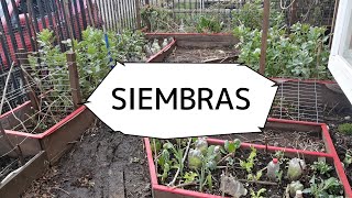 Es Tiempo de Siembras  Osorno  Sur de Chile [upl. by Ellenuahs]