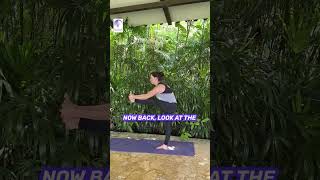 Hot Yogas Standing Head to Knee SECRET [upl. by Agee]