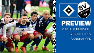 quotWIR WOLLEN IMMER GEWINNENquot  HSV vs SV SANDHAUSEN  Preview vor dem Heimspiel [upl. by Anewor857]