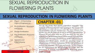 Sexual reproduction in flowering plantsL1 Class 12 vishwajeetsirbiology [upl. by Simmons913]