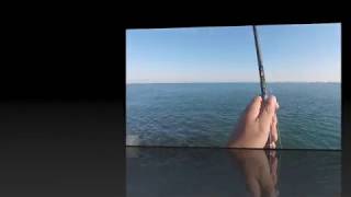 King Mackerel I Raja Makarel I Buddoys Fishing World Adventure V63 [upl. by Tnerual]