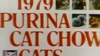 Purina Cat Chow Calendar Cats 1978 TV Commercial HD [upl. by Madda4]