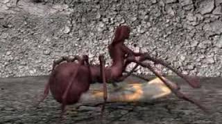 Cool 3d  Spider Vore  Spider Demon Wraps Prey [upl. by Ennaed611]