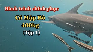 Hành Trình Tìm Cá Mập Bò 400kg  tập 1 [upl. by Nonnel]