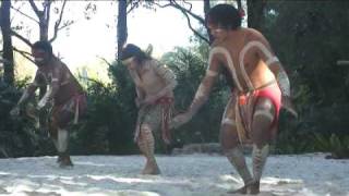 Australian Aboriginal Crane Dance [upl. by Derdle]