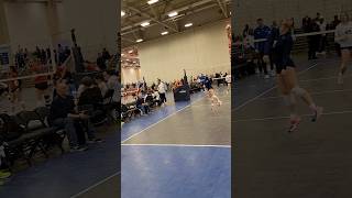 Long Volleyball Rally from AVC libero delaneymoon shorts [upl. by Iver70]