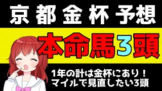 【京都金杯2024予想】京都金杯 の注目馬の紹介【競馬Vtuber兎鉄たまき】 [upl. by Wheaton]