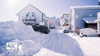 3 Hours of Beautiful Snow Walks in Finland  Slow TV 4K [upl. by Eerrahs]