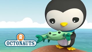 Octonauts Crabs amp Enemy Anemones Trouble [upl. by Margot]