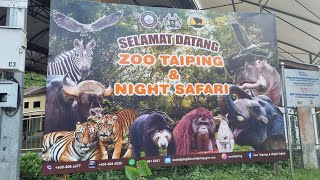 Zoo Taiping 2023第52集 [upl. by Ange827]