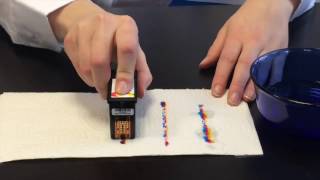 DTM Print Tutorial How to reactivate dried cartridges [upl. by Ettelrahc]