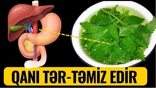 Bədəni İLTİHABDAN 1 Həftəyə Təmizləyir [upl. by Ro]