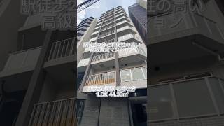 【新大久保駅 徒歩1分 1LDK 4433㎡】詳しくはインスタpropertydesignで🔍 不動産 賃貸 お部屋探し 高級賃貸 賃貸 内見 新大久保shorts [upl. by Danny710]