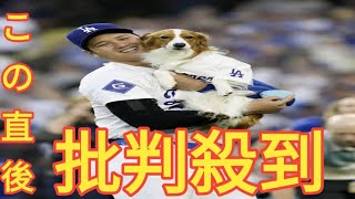 デコピンもいる♥」大谷翔平の代理人事務所が祝福ビジュアル 隅っこにボールをくわえたデコピンが！ファン歓喜 [upl. by Ettenotna]