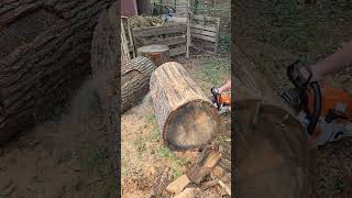 Stihl MS 400 CM stihlchainsaw stihl chainsawman firewood asmr oak shorts viral roadto20k [upl. by Adirahs]