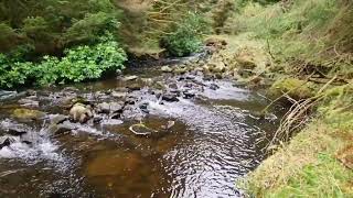 brecon beacons lakes [upl. by Reedy]