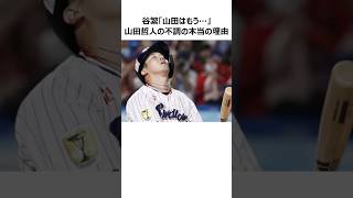 【ヤクルト】山田哲人の不調の本当の理由に関する雑学 [upl. by Anicul806]