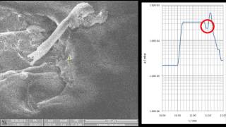 Charge Compensation inside an SEM using the GISEM [upl. by Suhcnip769]