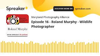 Episode 16  Roland Murphy  Wildlife Photographer [upl. by Enitsirk]