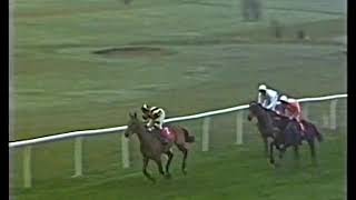 1986 Tingle Creek Chase Berlin [upl. by Festatus42]