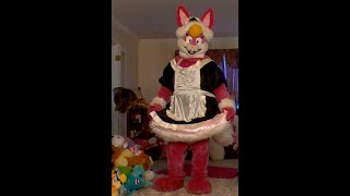 Daisy Fluffle Maid Full suit video [upl. by Sset]