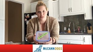 Raw Dog Food Diet Lets Talk About Our Dogs [upl. by Wake919]