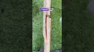 Como consertar cabos de vassouras 🧹 quebrados 👏😱 dicas tools diy shorts [upl. by Shaffer]