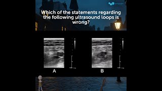 Which of the statements regarding the following ultrasound loops is wrong [upl. by Lowrie661]