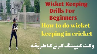 wicket keeping drills for beginners  Drills for a wicket keeper  cricket with asif [upl. by Sarine]