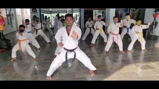 Live karate class  SS karate amp gymnastics [upl. by Ahsyek]