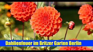 Berliner Britzer Garten im Herbst [upl. by Doehne]